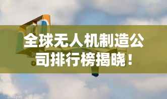 全球无人机制造公司排行榜揭晓!