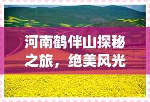 河南鹤伴山探秘之旅，绝美风光与深度体验攻略