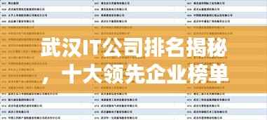 武汉IT公司排名揭秘,十大领先企业榜单