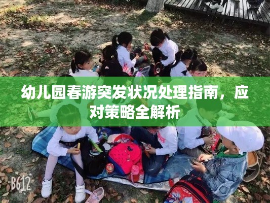 幼儿园春游突发状况处理指南,应对策略全解析
