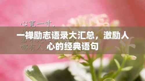 一禅励志语录大汇总,激励人心的经典语句