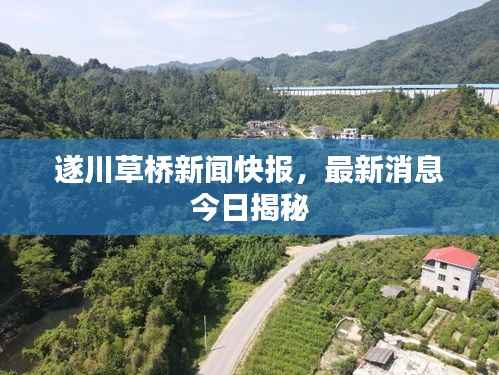 遂川草桥新闻快报，最新消息今日揭秘