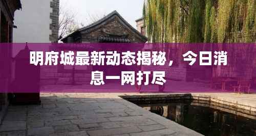 明府城最新动态揭秘,今日消息一网打尽