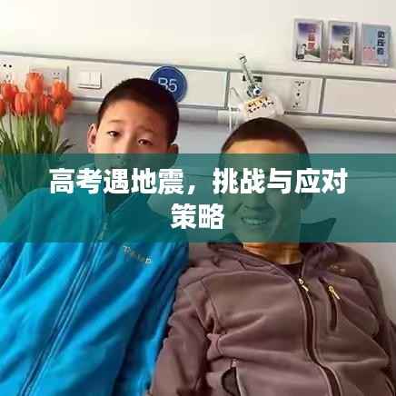 高考遇地震，挑战与应对策略