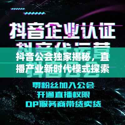 抖音公会独家揭秘,直播产业新时代模式探索