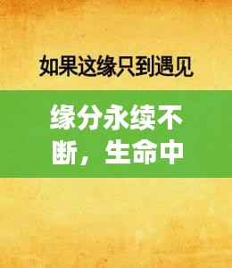 缘分永续不断，生命中的奇妙相遇与心灵连结