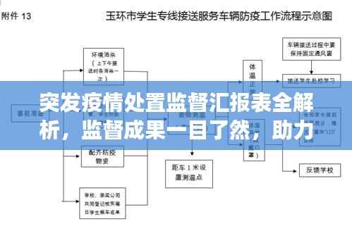突发疫情处置监督汇报表全解析,监督成果一目了然,助力疫情防控高效有序!