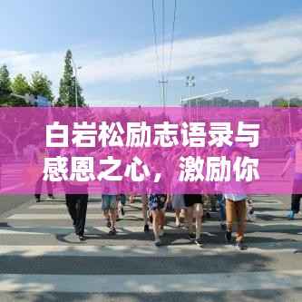 白岩松励志语录与感恩之心，激励你前行的力量之源